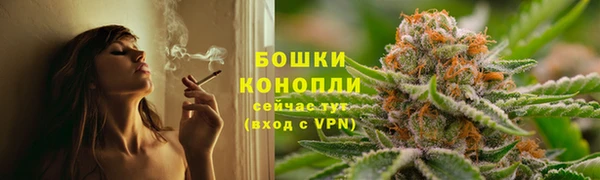 прущие крисы Богданович